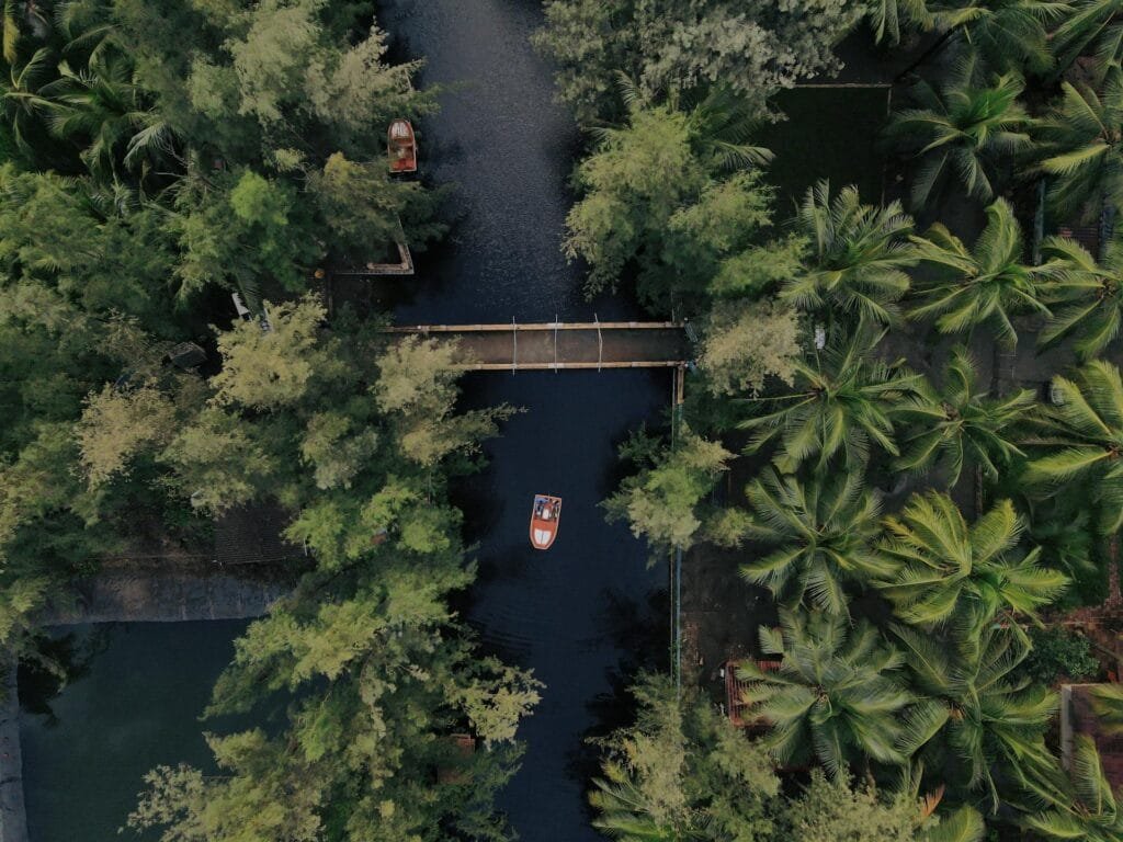 Aerial view of a narrow backwater canal lined with coconut palms in Kuttanad, Alappuzha